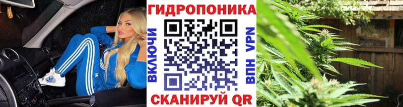 omg ССЫЛКА Окуловка Бошки марихуана марихуана